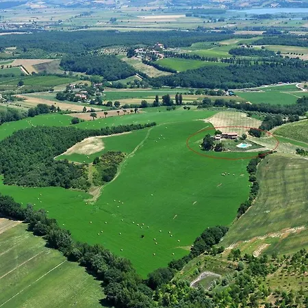 Agriturismo Gello - With Panoramic Pool In Tuscany - *